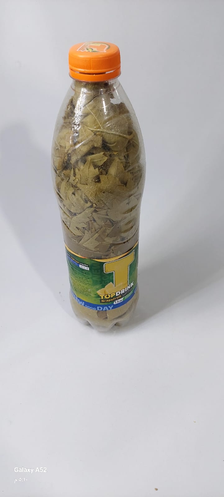 قنية ورق دوالي